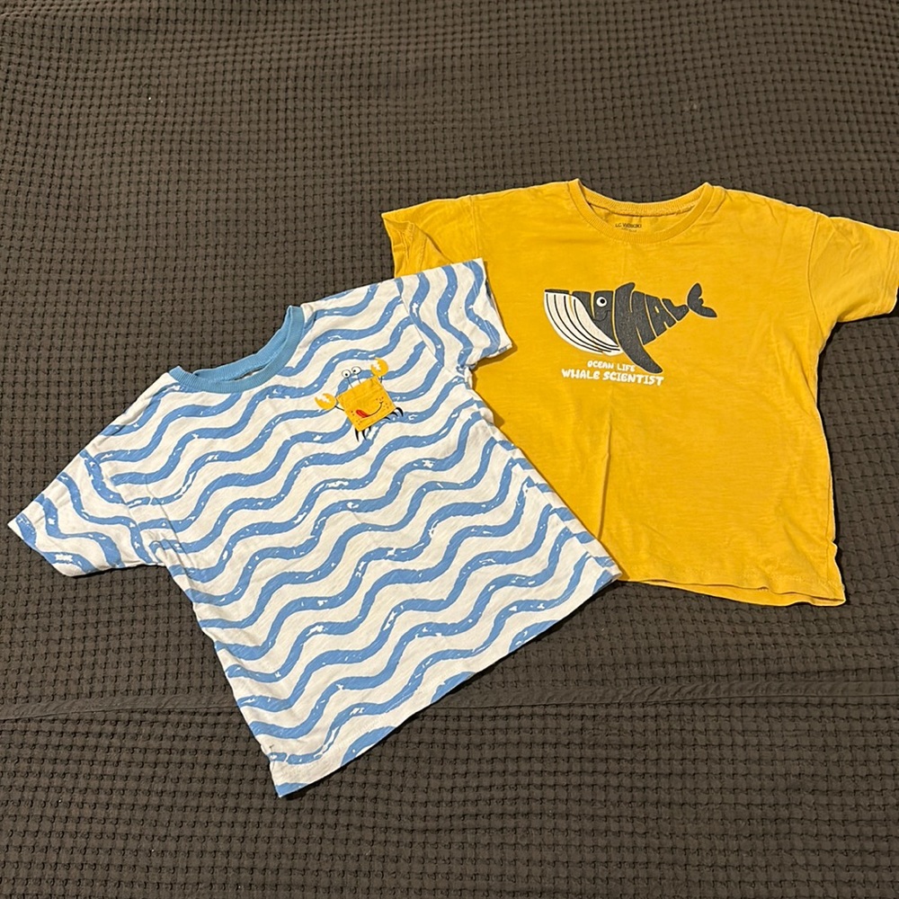 Bundle of 3T-4T boys T-shirts
